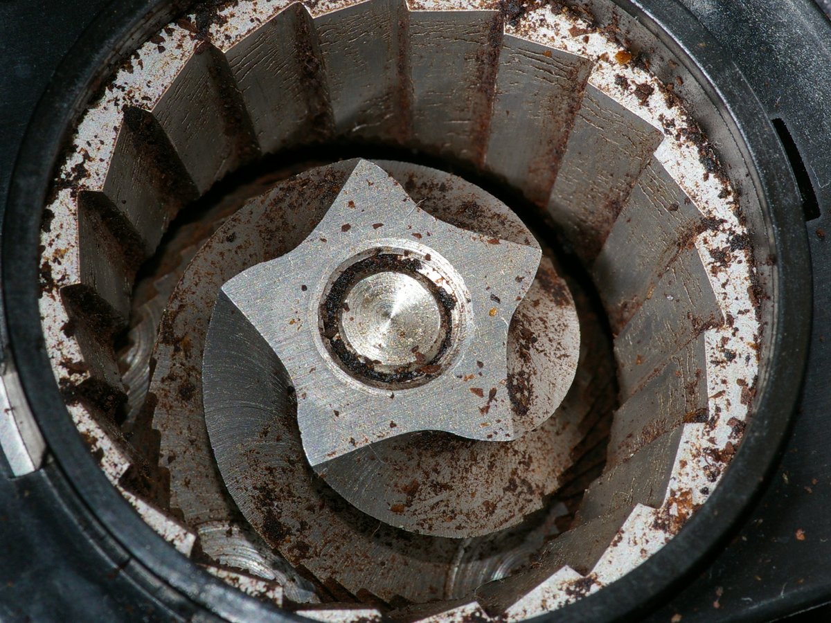 Freshly ground coffee falling from a burr grinder